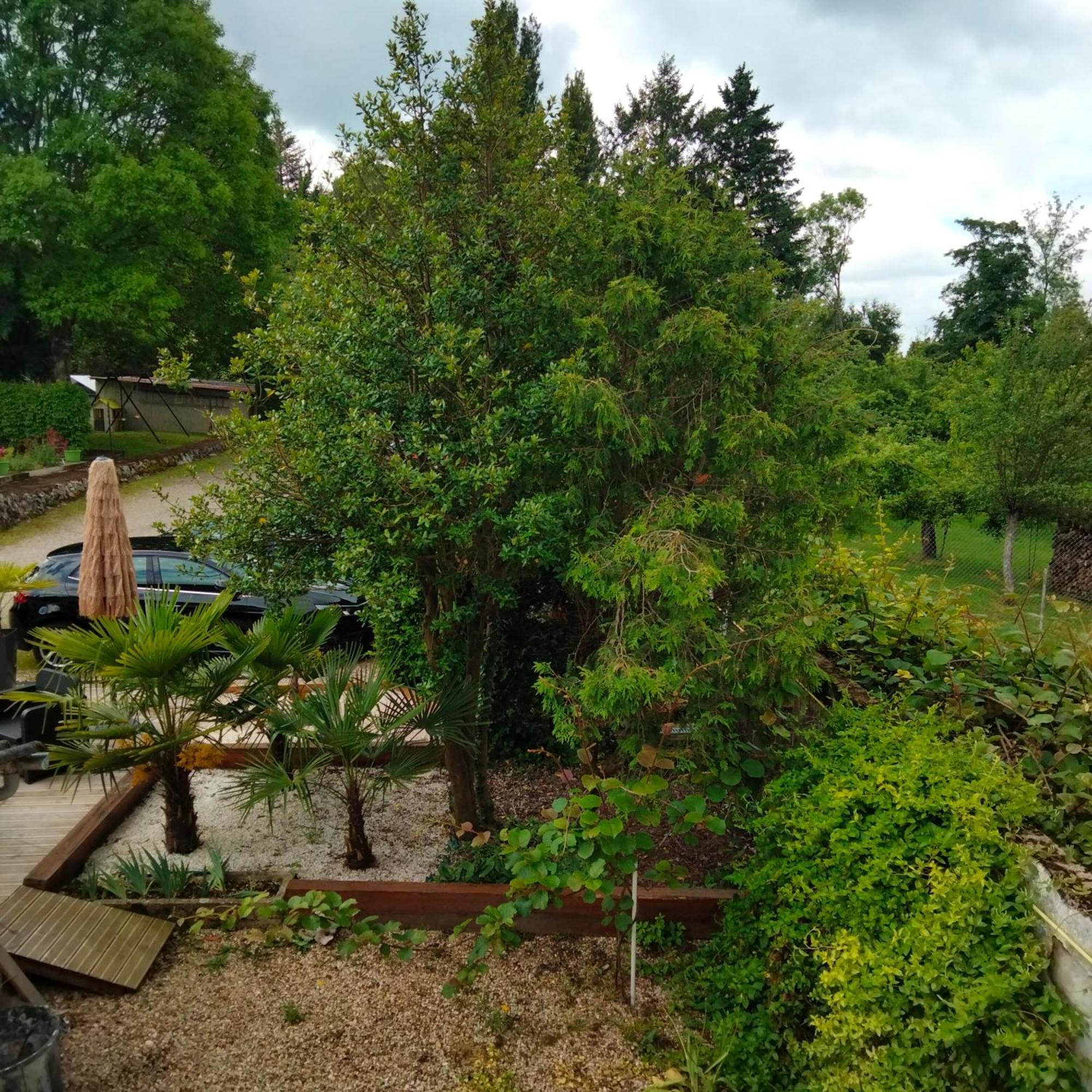 Le Jack Bed & Breakfast Mont-sous-Vaudrey Exterior photo